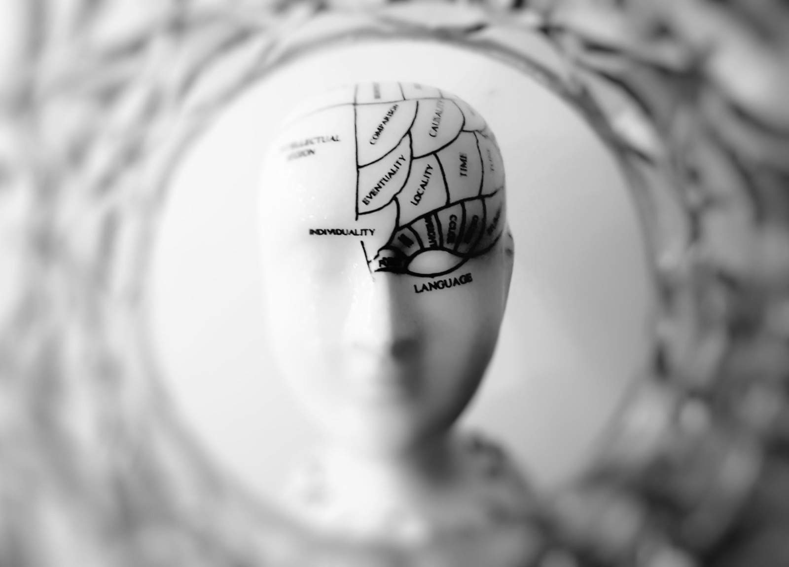 The Psychology of Creativity